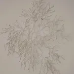 Stilvolle Mit Panoramablick, Lift, Ruhe, Komfort Thermenerlebnis Apartamento Bad Hall